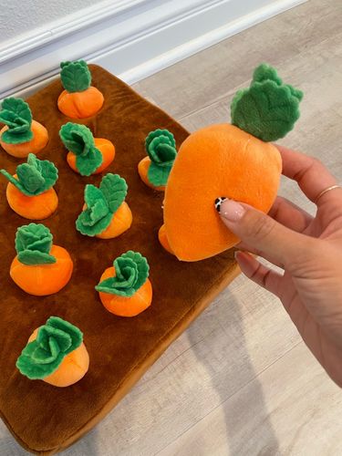 Customer photo review of Pet Carrot Farm