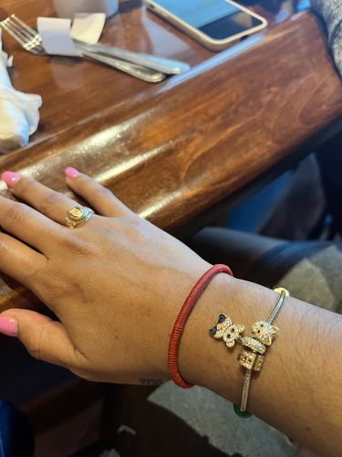 Customer photo review of *NEW* 14K Charms Bracelet - JTJ™