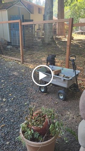 Customer video review of Dog Silencer® MAX