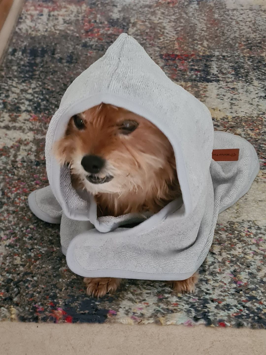 Customer photo review of Premium Hunde Bademantel