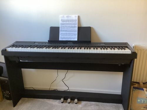 Customer photo review of Donner DEP-20 Portable Keyboard 88-Key Weighted with Stand