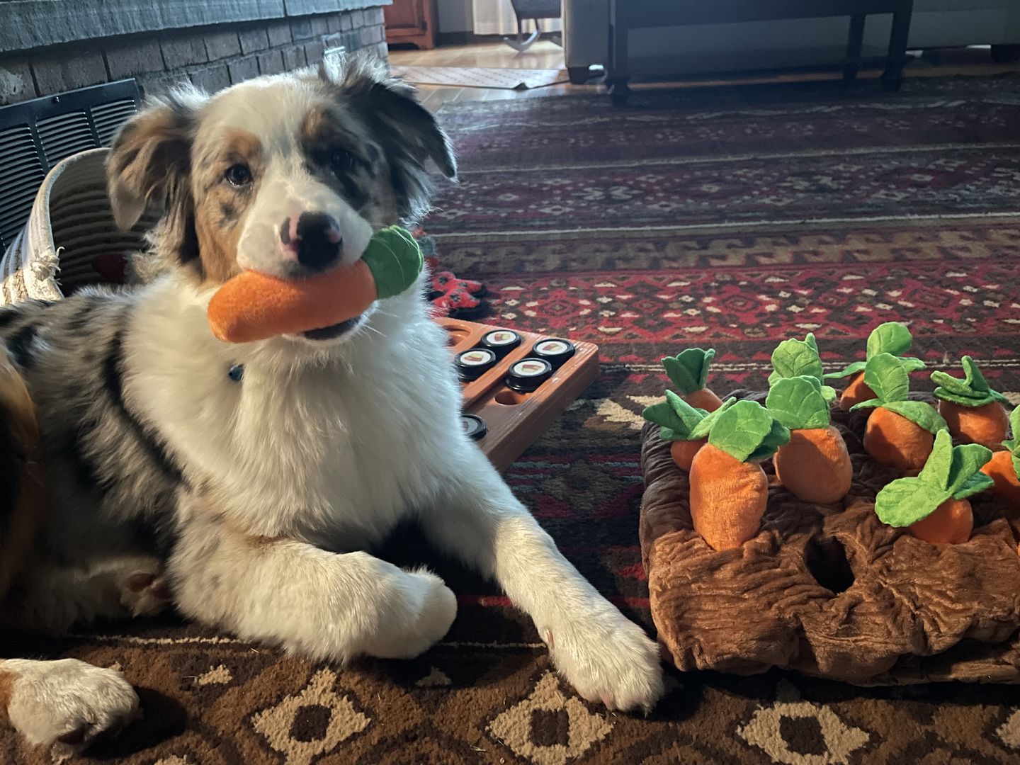 Customer photo review of Carrot Farm