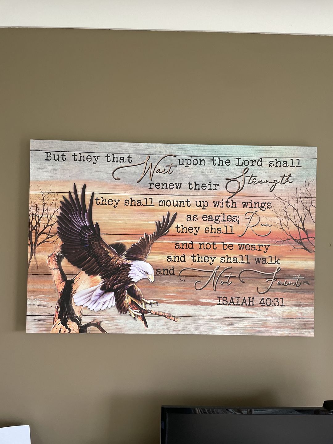 Customer photo review of Eagle Wingspan, They that wait upon the Lord Isaiah 40:31 Christian wall art canvas print