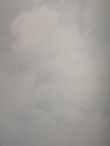 Customer photo review of Cloudy Skies Wallpaper Mural