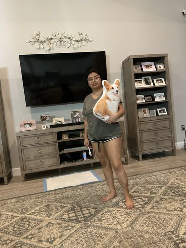 Customer photo review of Create A Custom Dog Pillow
