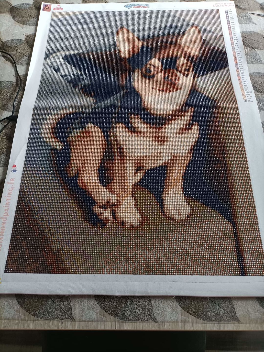 Customer photo review of Diamond Painting Personnalisé