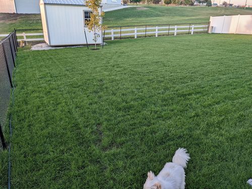Customer photo review of Cool Season Lawn Care Guide