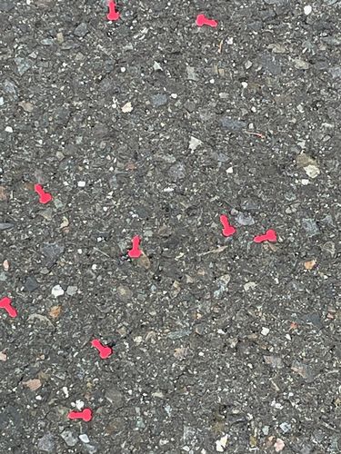 Customer photo review of Spring Loaded Dick Bomb!