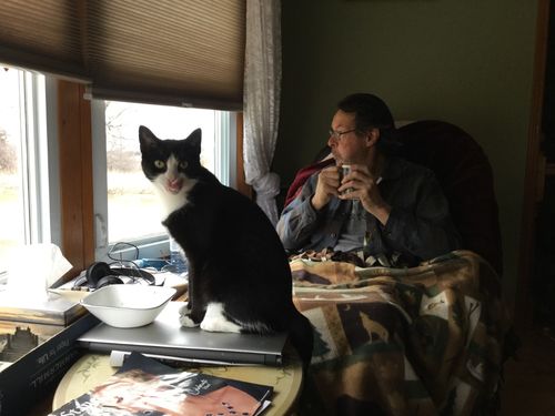 Customer photo review of Revolution Plus For Medium Cats 5.6-11 lbs (2.6-5kg)