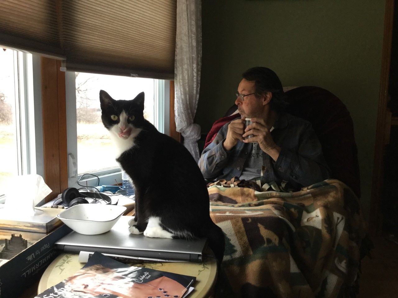 Customer photo review of Revolution Plus For Medium Cats 5.6-11 lbs (2.6-5kg)