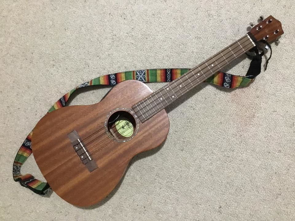 Customer photo review of BB Worth Brown Baritone Ukulele Strings DGBE Tuning Fluorocarbon 2 Restrings per Packet