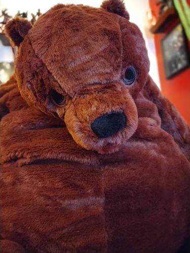 Customer photo review of SKOGGY BEAR