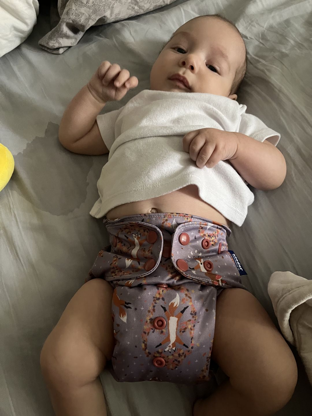 Customer photo review of 4-Layer Bamboo Natural Fiber Insert (Single)