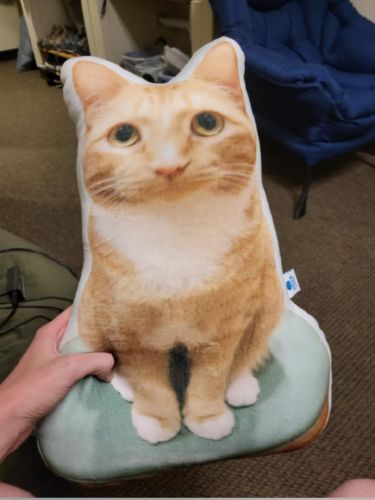 Customer photo review of Create A Custom Cat Pillow