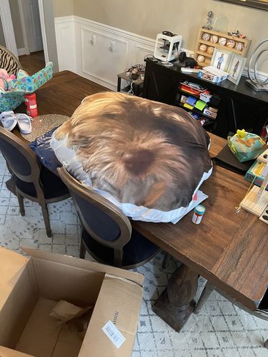 Customer photo review of Create A Custom Dog Pillow