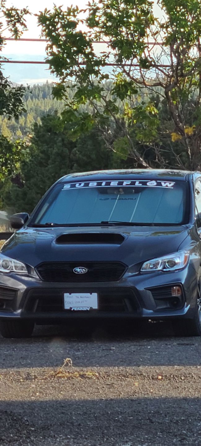 Customer photo review of SubieFlow Windshield Banners