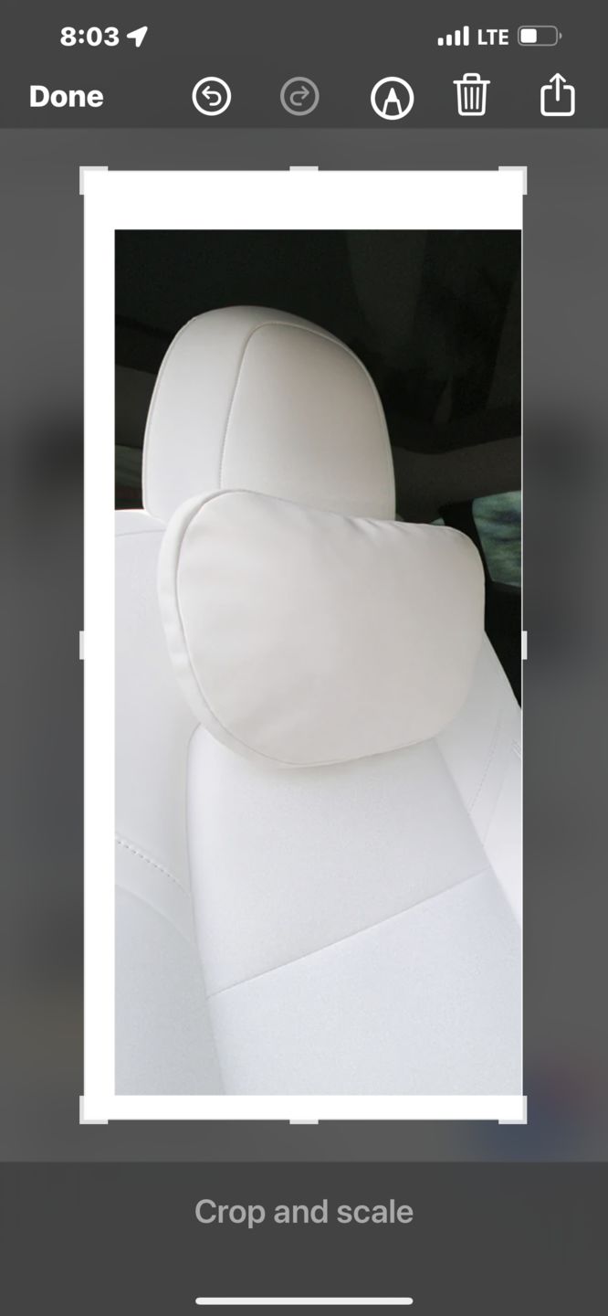 Customer photo review of Dupont Headrest Pillow