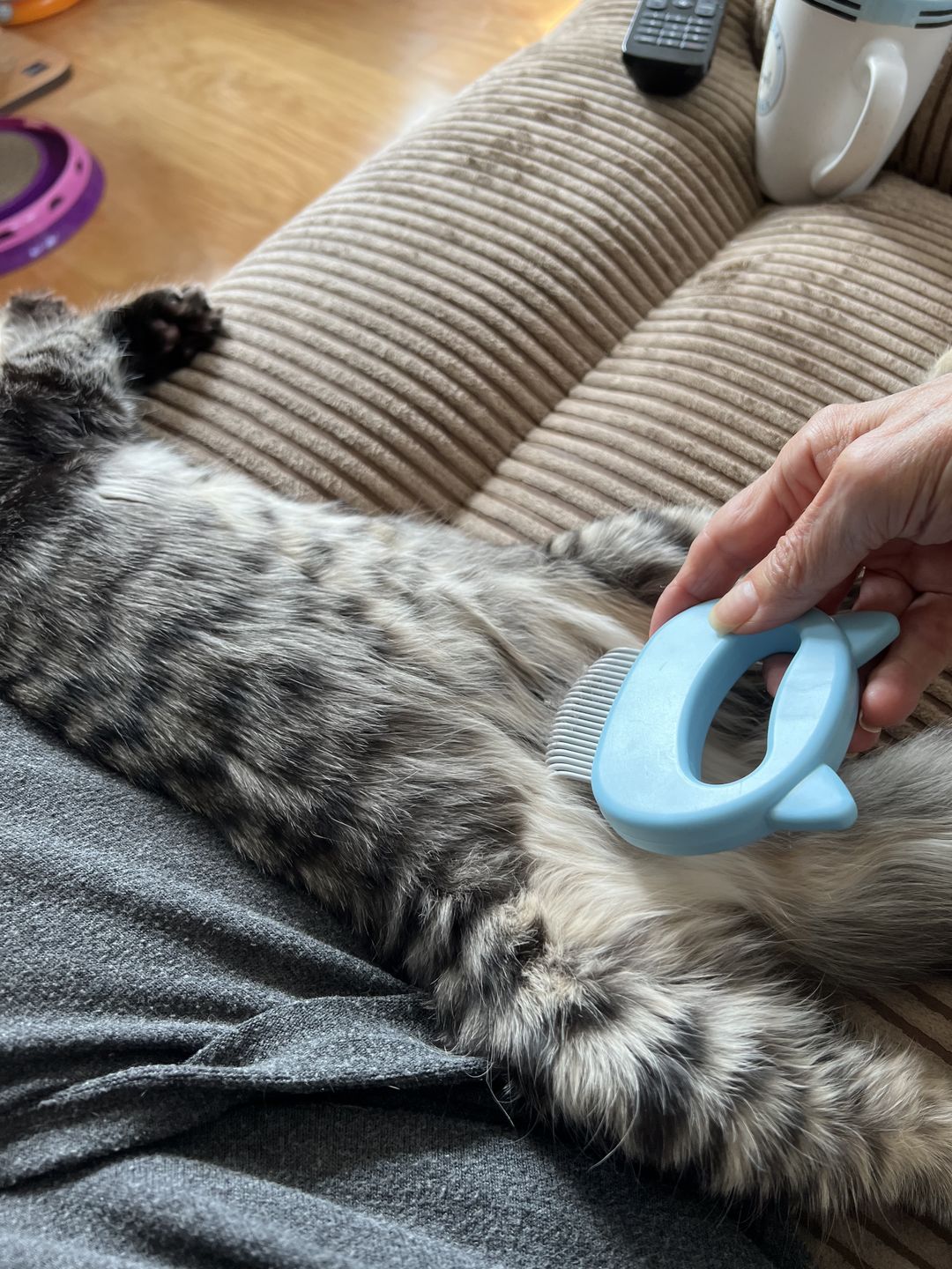 Customer photo review of Cat Hair Removal Massaging Shell Comb