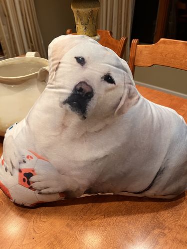 Customer photo review of Create A Custom Dog Pillow