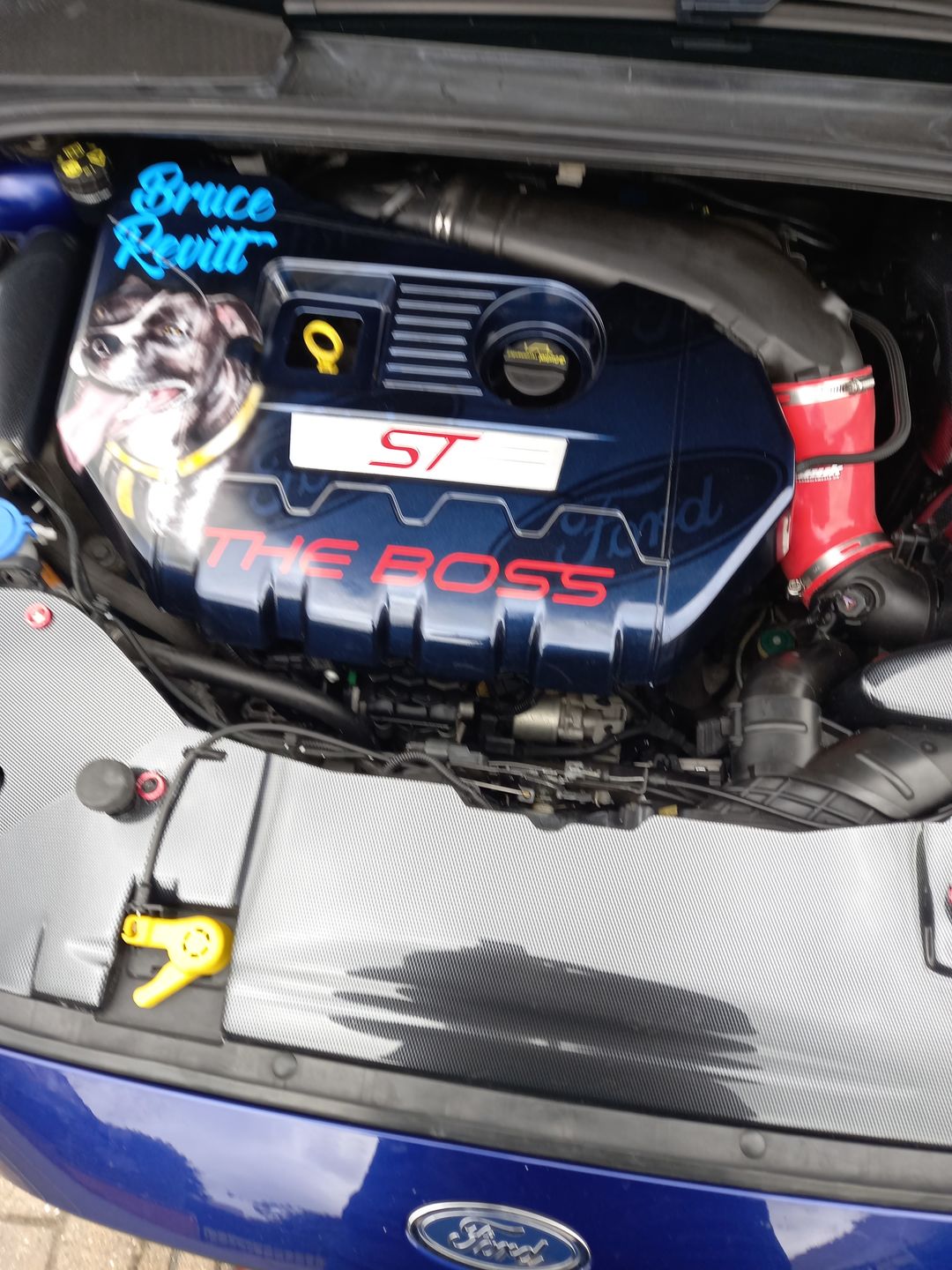 Customer photo review of Mk3.5 Focus Slam Panel Cover (various colours)
