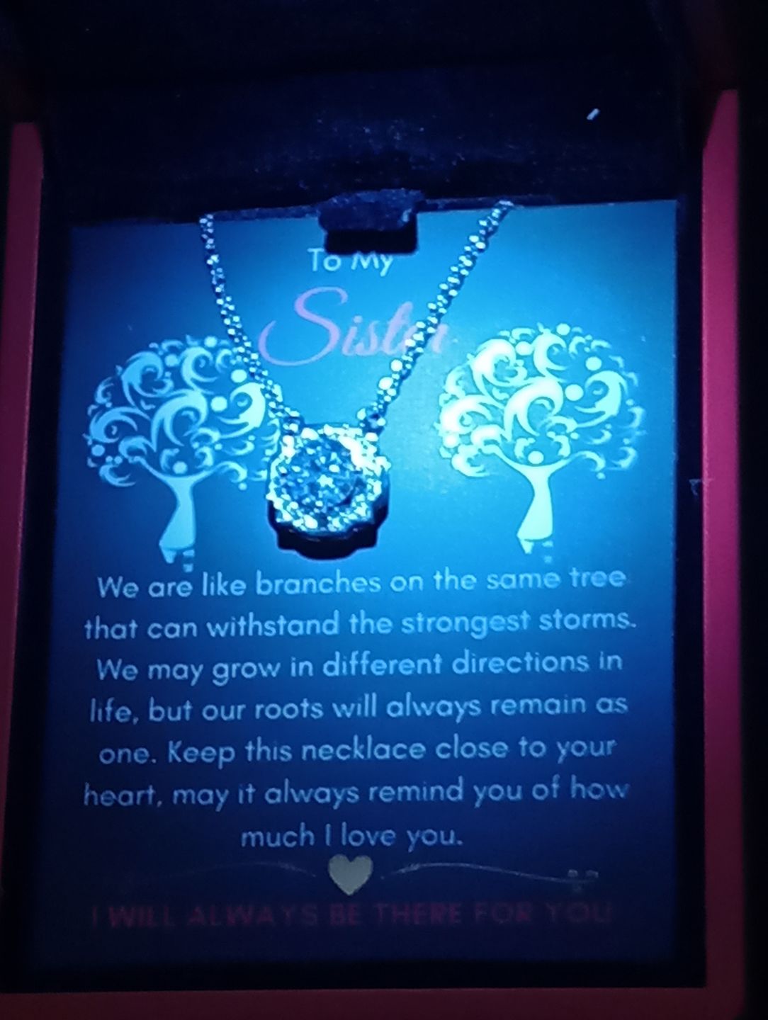 Customer photo review of To My Sister - Family Tree Necklace