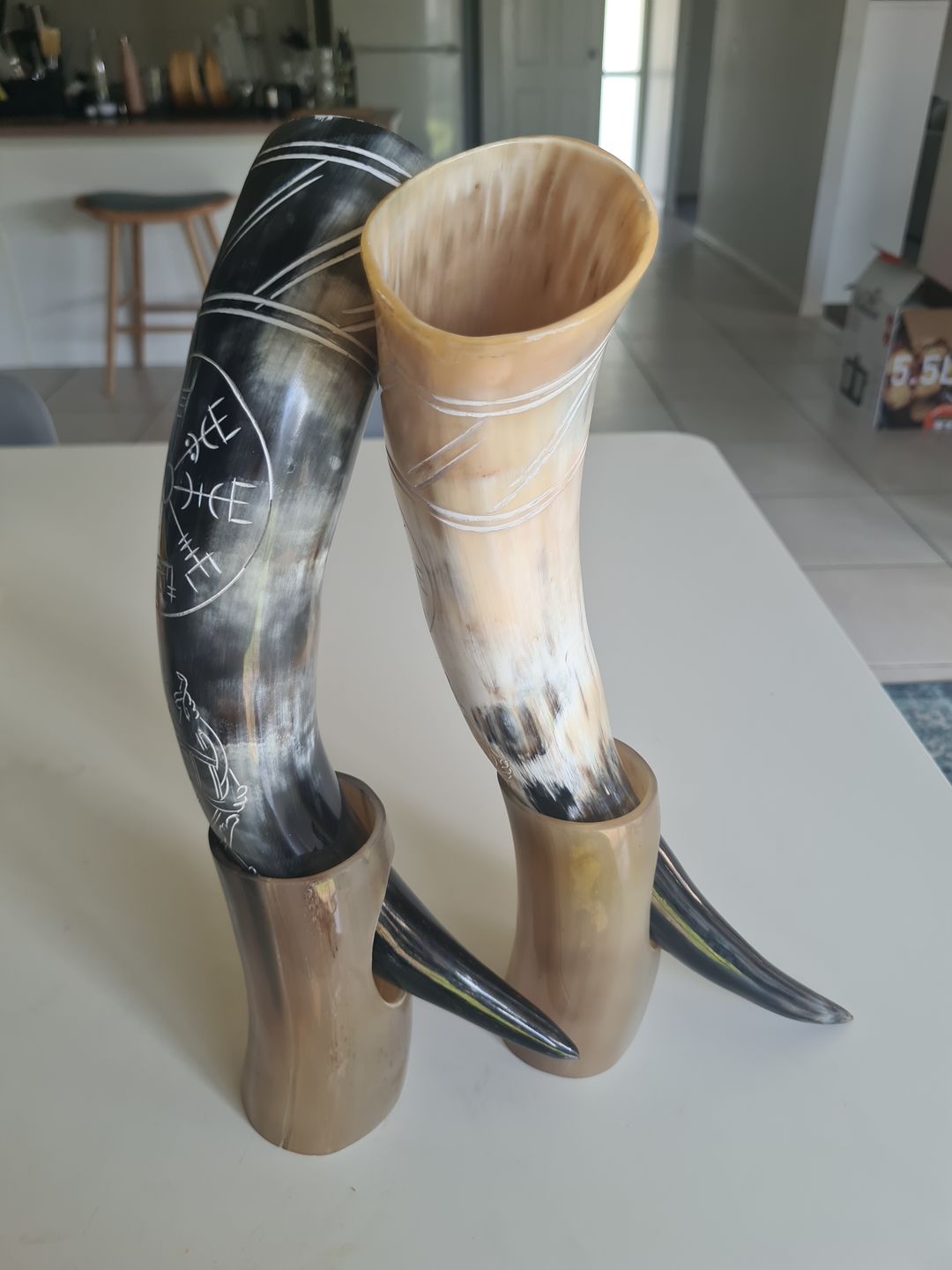 Customer photo review of Serpent's Fury Drinking Horn