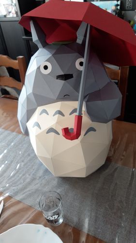 Customer photo review of Patrons Totoro (pdf)