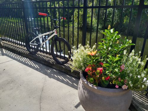 Customer photo review of Framed Defendant Pro BMX Bike Mens