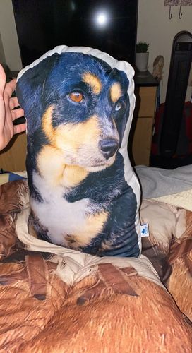 Customer photo review of Create A Custom Dog Pillow
