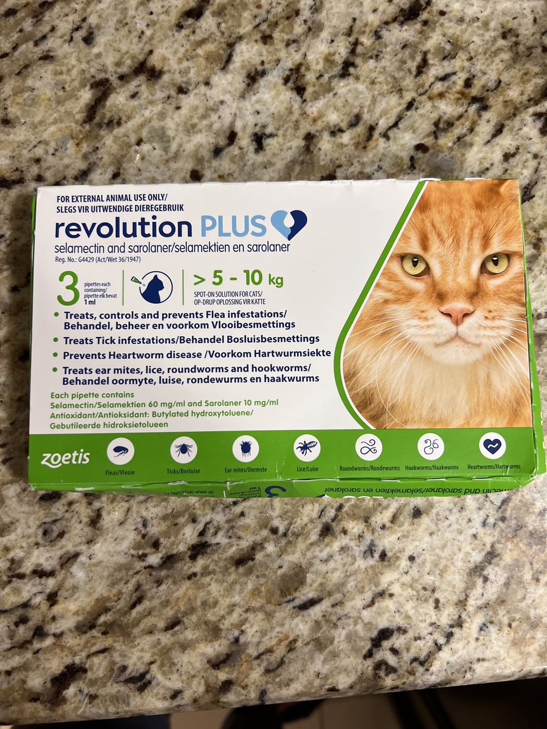 Customer photo review of Revolution Plus For Large Cats 11.1-22lbs (5-10kg)