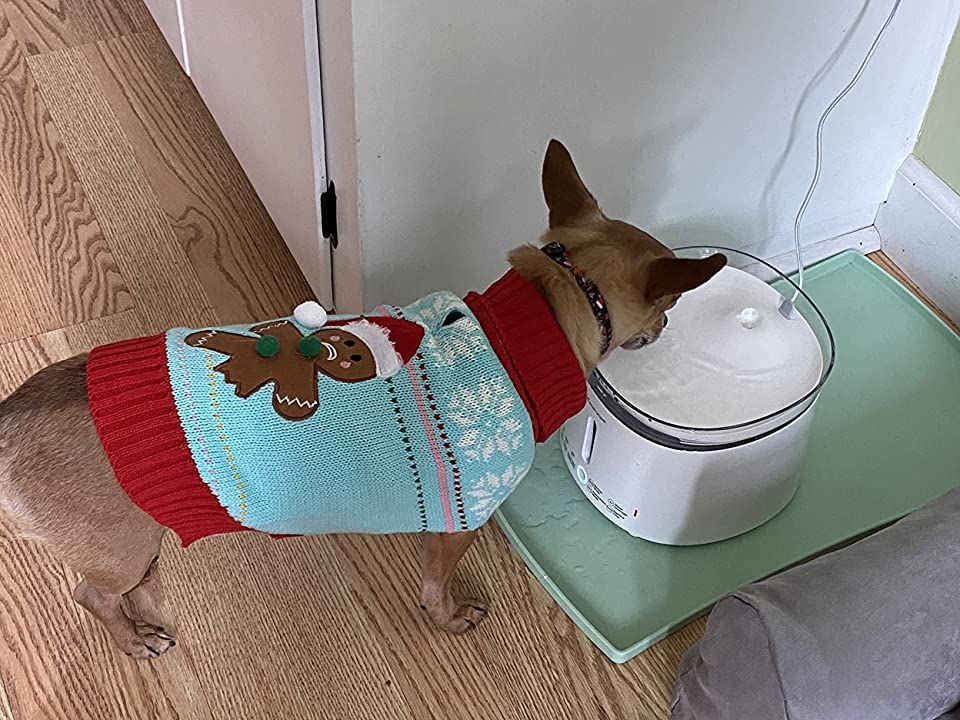 Customer photo review of homerunPET ペットウォーターファウンテン