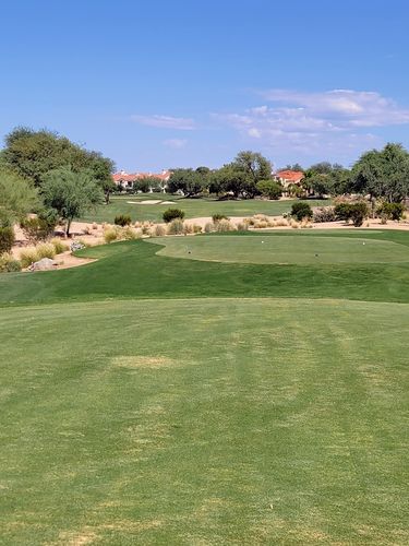 Customer photo review of Black Edition