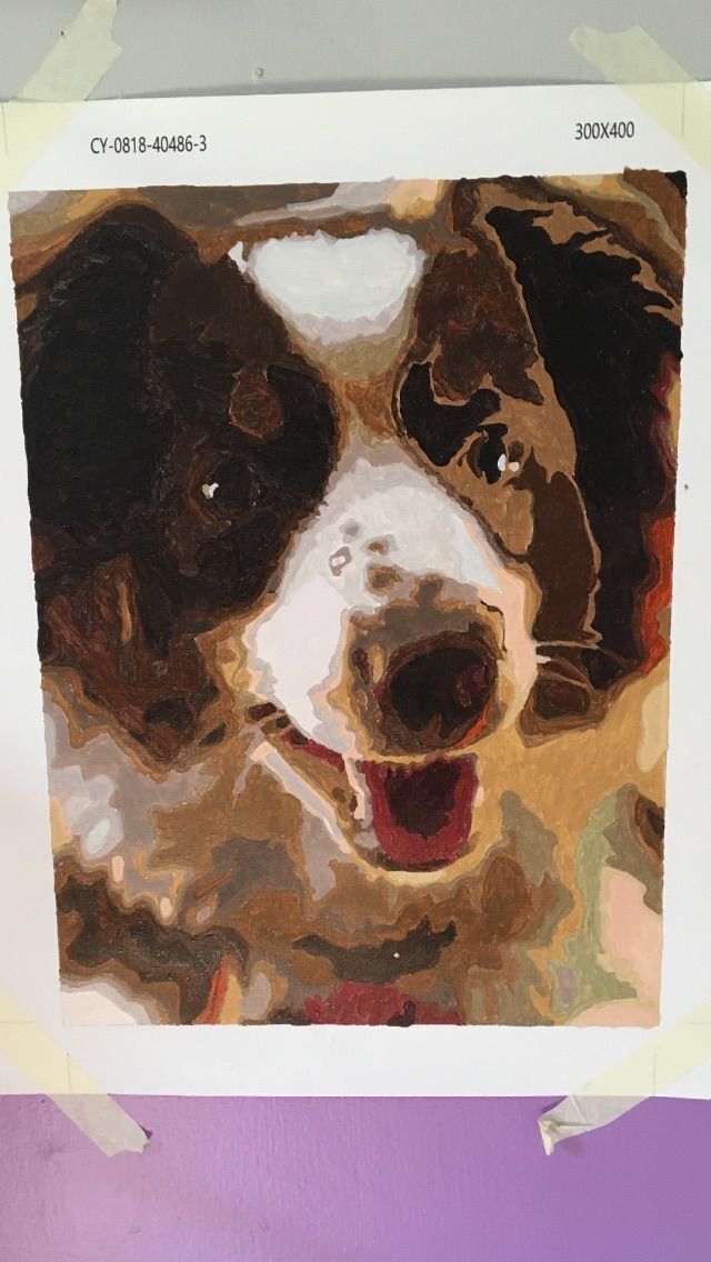 Customer photo review of Personalized Paint By Number Kits - Upload Any Photo