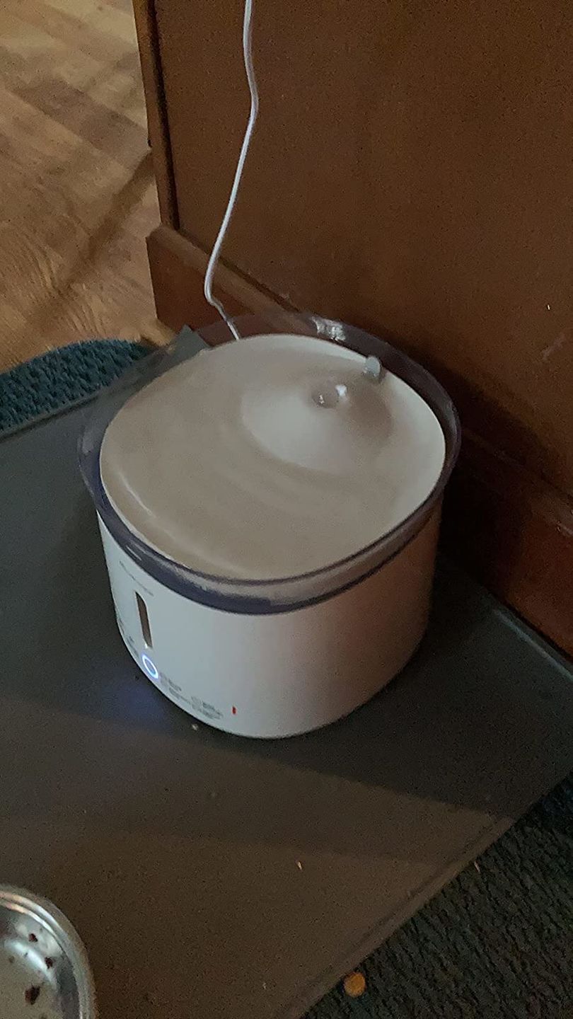 Customer photo review of homerunPET ペットウォーターファウンテン