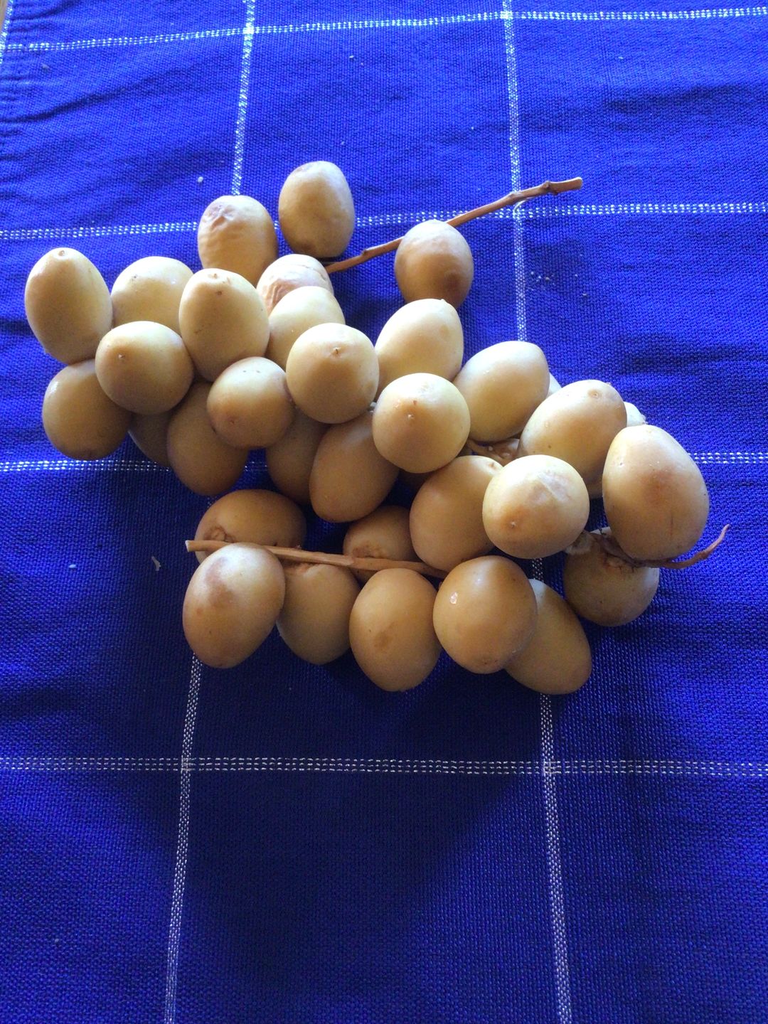 Customer photo review of Yellow Barhi Dates - Khalal Stage