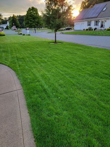 Customer photo review of GCI Turf Spreader Elite Grass Seed