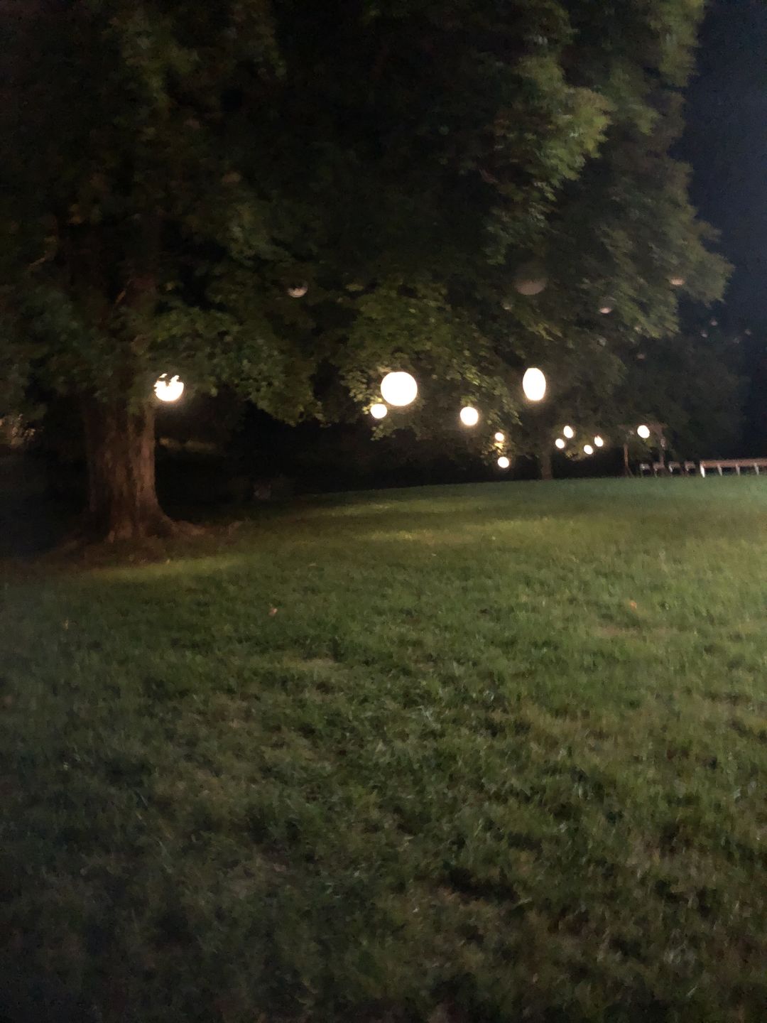 Customer photo review of Fantado MoonBright™ 12-LED Multi-function Remote Controlled Light for Paper Lanterns, Warm White (Battery Powered)