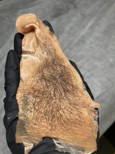 Customer photo review of Starter Honey Kit - Wild Honey