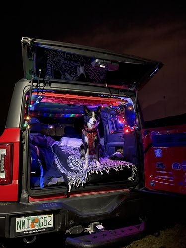 Customer photo review of deepsleep Solo Mat for Ford Bronco