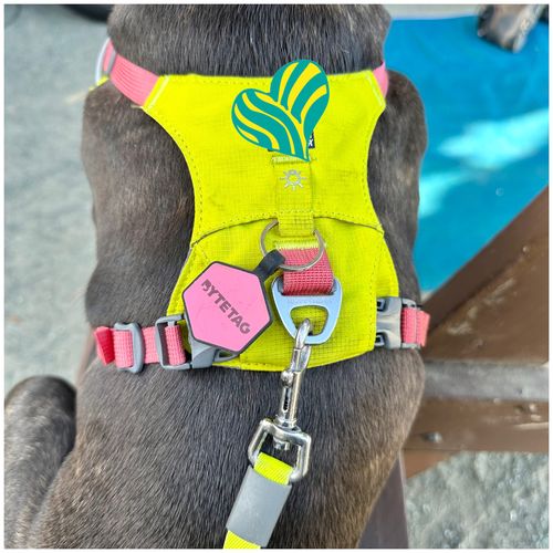 Customer photo review of Pink Silicone