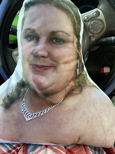 Customer photo review of Create A Custom Anything Pillow