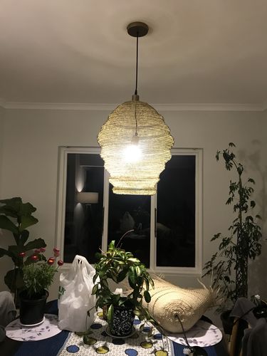 Customer photo review of Lampara Mesh Pendant