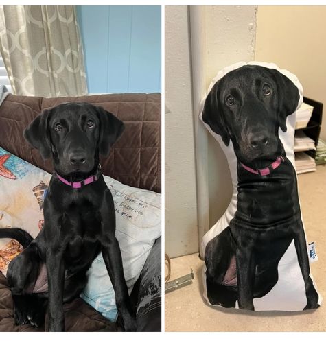 Customer photo review of Create A Custom Dog Pillow