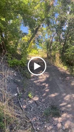 Customer video review of Sur-Ron Light Bee X Black Edition