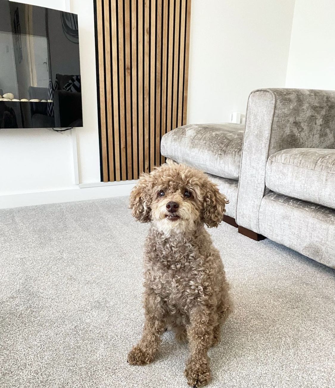 Customer photo review of Pannello acustico | Rovere Chiaro