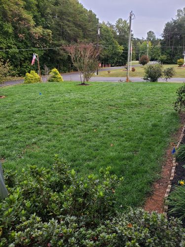 Customer photo review of Cool Season Lawn Care Guide