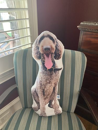 Customer photo review of Create A Custom Dog Pillow