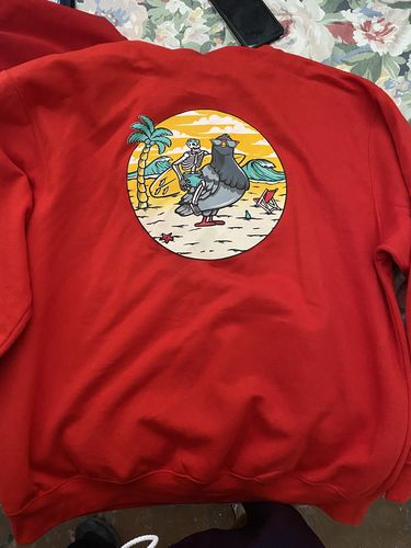 Customer photo review of Hoodie Ride A Pigeon