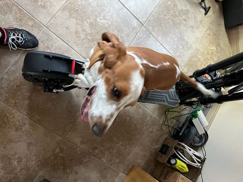 Customer photo review of Qiewa Q-POWER2