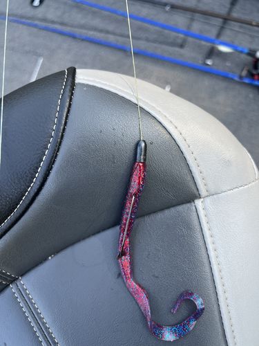 Customer photo review of 200% Sensitivity Tungsten Worm Weights | Bullet Weights | 2 Colors 10 Piece | Bulk Pack